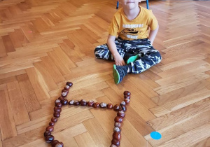 Zabawy z kasztanami