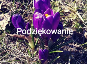 Podziękowanie