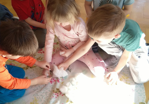 Dzieci sieją rzeżuchę