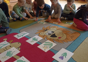 na dywanie leżą ilustracje wiosennych kwiatów