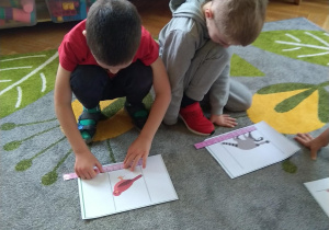 Porównujemy długości zwierząt