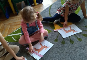 Porównujemy długosci zwierząt