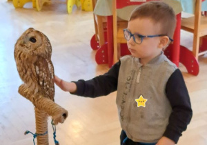 Lekcja przyrody z udziałem sów