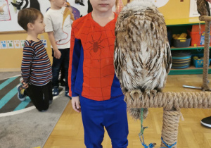 owl