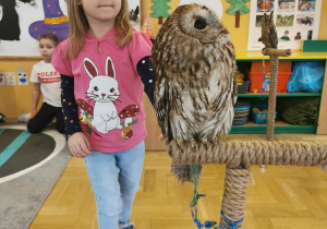 owl