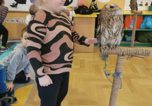 owl