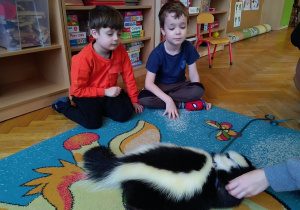 Dzieci głaszczą skunksa