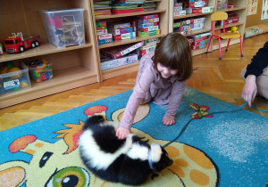 Dzieci głaszczą skunksa