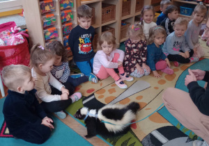 "Odlotowa lekcja przyrody" - skunks