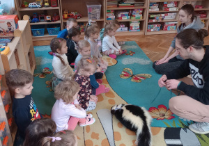 "Odlotowa lekcja przyrody" - skunks
