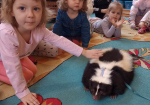"Odlotowa lekcja przyrody" - skunks