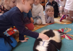 "Odlotowa lekcja przyrody" - skunks