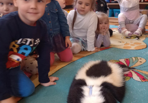 "Odlotowa lekcja przyrody" - skunks