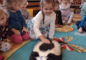 "Odlotowa lekcja przyrody" - skunks