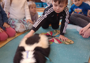 "Odlotowa lekcja przyrody" - skunks