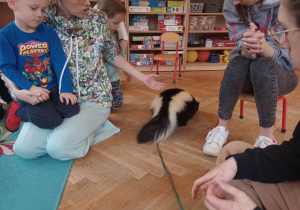 "Odlotowa lekcja przyrody" - skunks