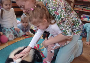 "Odlotowa lekcja przyrody" - skunks