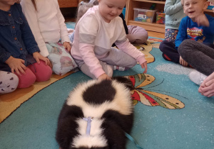 "Odlotowa lekcja przyrody" - skunks