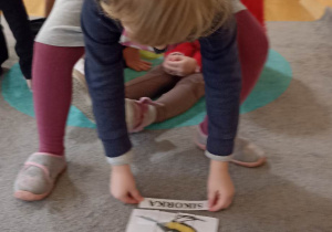 dzieci dopasowuję nazwę ptaka do ilustracji