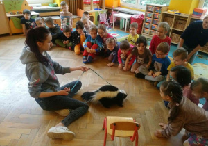 wizyta skunksa