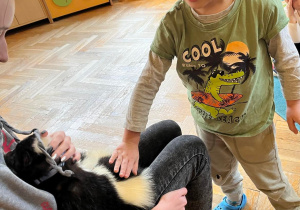 Dziecko głaszcze skunksa