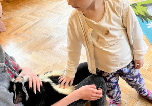 Dziecko głaszcze skunksa