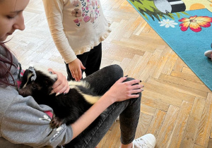 Dziecko głaszcze skunksa