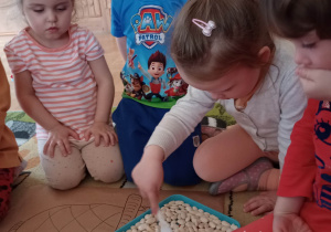 Dzień Marchewki