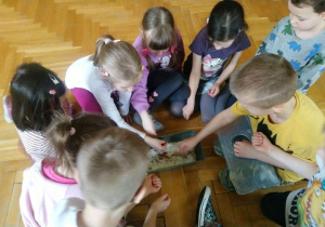 siejemy nasionka