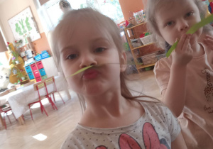 Zabawy z kolorowymi paskami