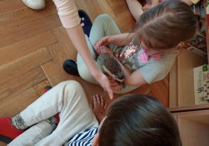 Spotkanie z jeżem i wiewiórką