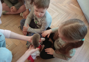 Spotkanie z jeżem i wiewiórką