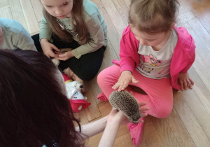 Spotkanie z jeżem i wiewiórką
