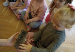 Spotkanie z jeżem i wiewiórką