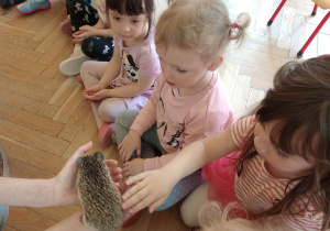 Spotkanie z jeżem i wiewiórką