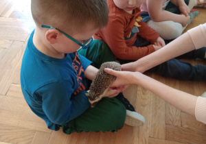 Spotkanie z jeżem i wiewiórką