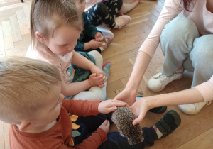 Spotkanie z jeżem i wiewiórką