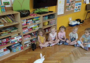 Poznajemy zwierzątka