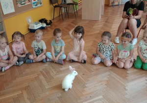 Poznajemy zwierzątka