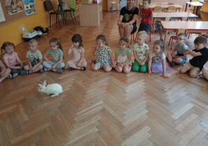 Poznajemy zwierzątka