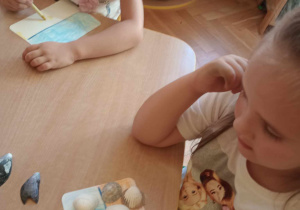 Muszelkowe kompozycje...
