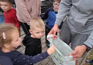 Zbieramy dary jesieni