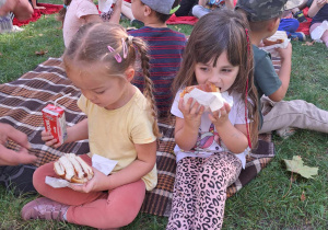 Jesienny piknik