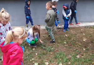 Sprzątamy Dla Polski