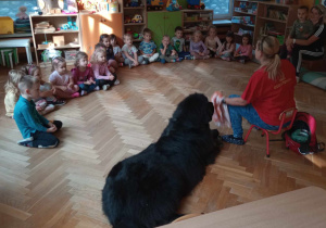 Dogoterapia