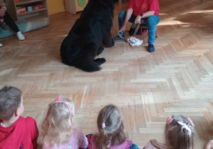 Dogoterapia