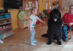 Dogoterapia