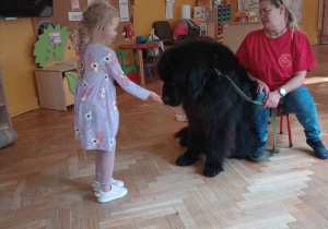 Dogoterapia
