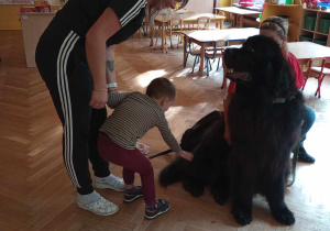Dogoterapia