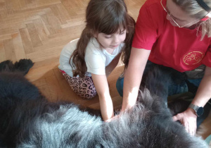 Dogoterapia